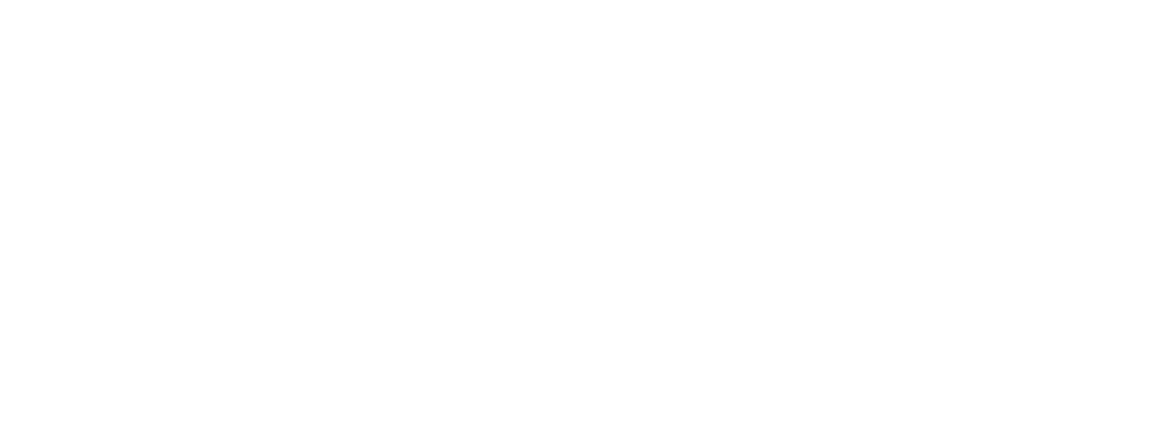 Tickets Wholesale logo